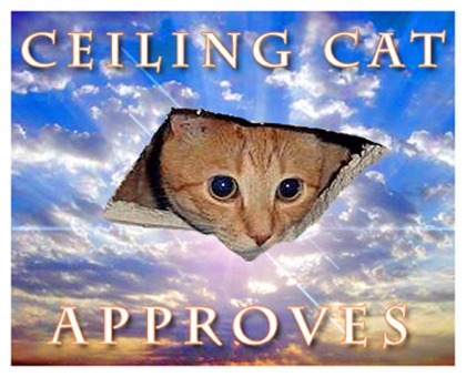 Ceilingcatapproves420x315px.jpg