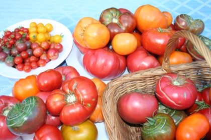 Heirloomtomatoes2029.jpg